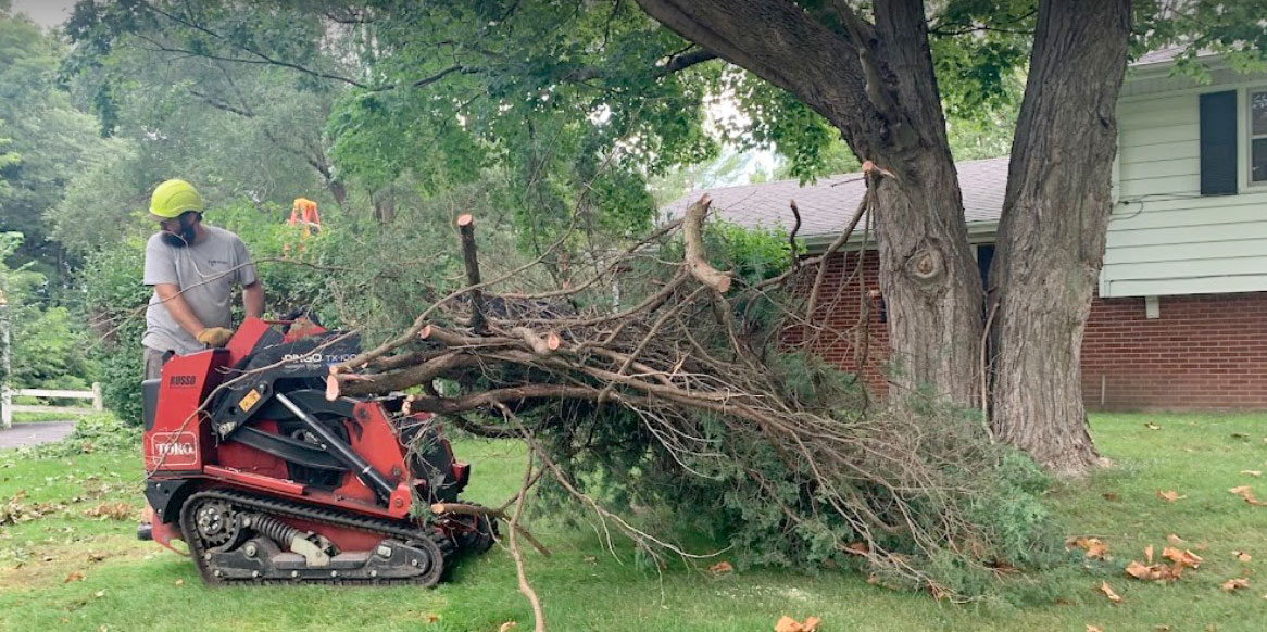 Tree-trimming-tree-removal
